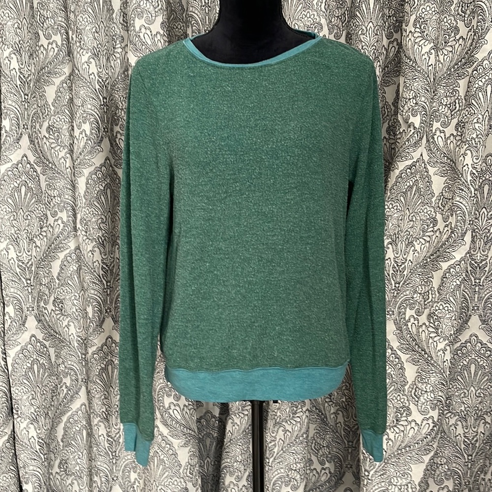 WILDFOX cozy teal green long sleeve crewneck sweatshirt